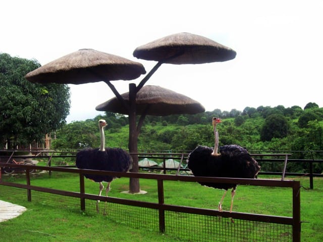 A Guide to Family-Friendly Getaways in Clark, Pampanga